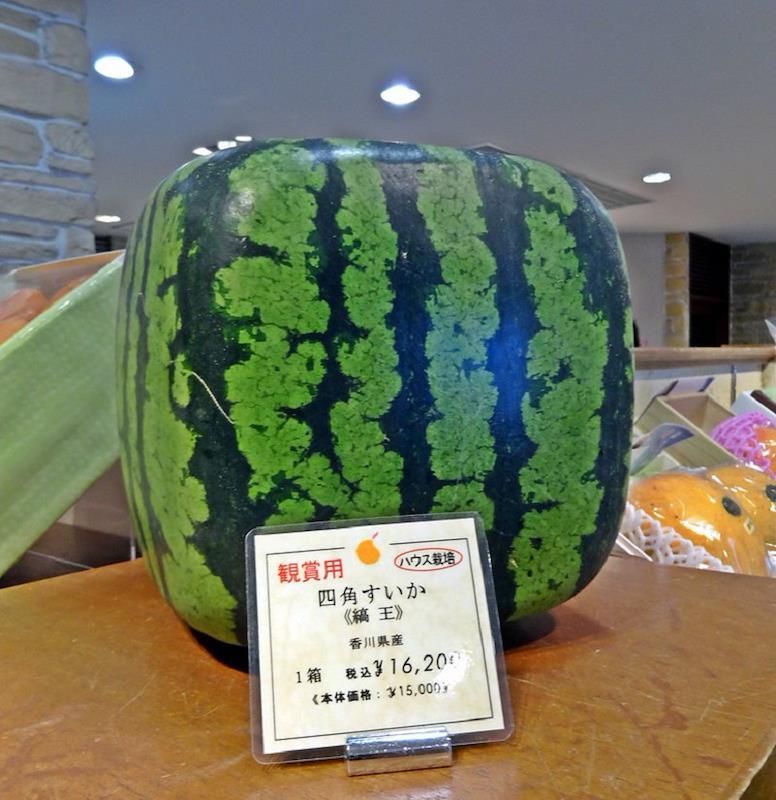 What are the most expensive fruits in Japan?